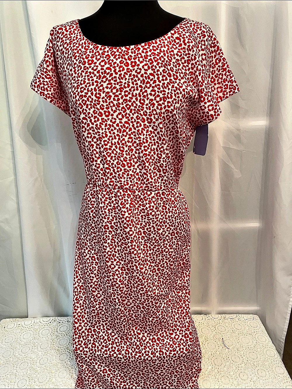 Jillli Animal Print Midi Dress in White & Red Size 8P NWT